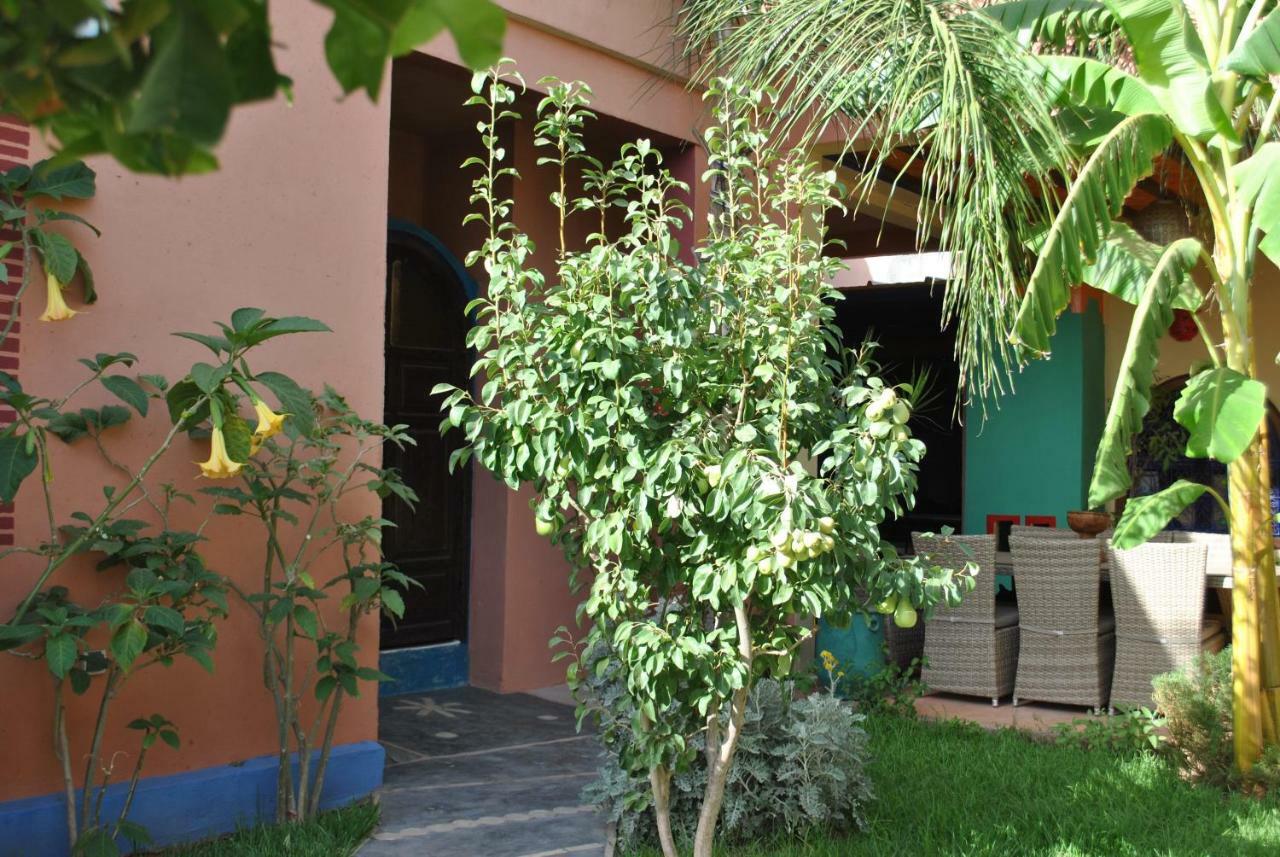 Auberge Kasbah Darla 타한노우트 외부 사진