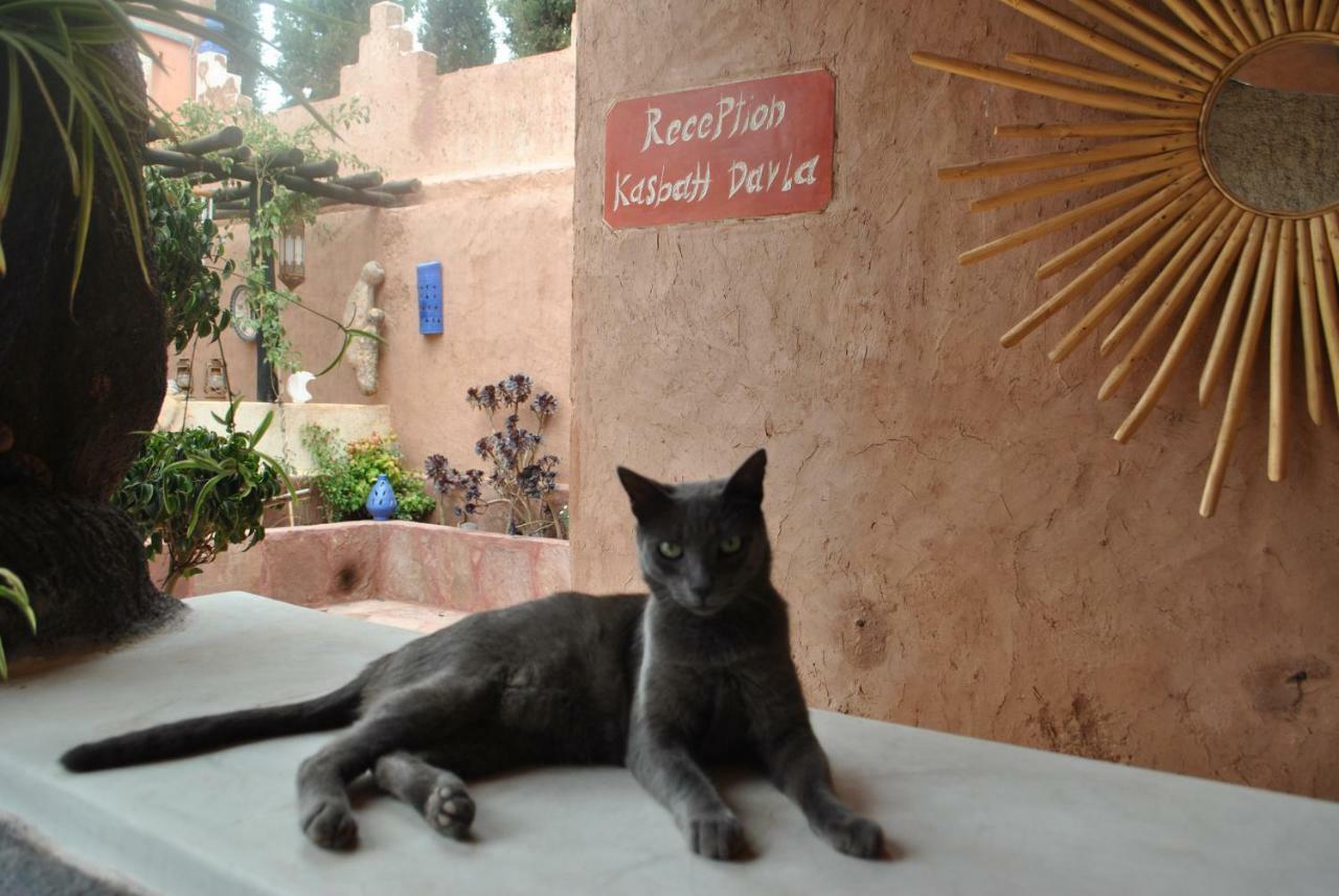 Auberge Kasbah Darla 타한노우트 외부 사진